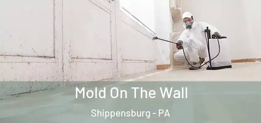  Mold On The Wall Shippensburg - PA