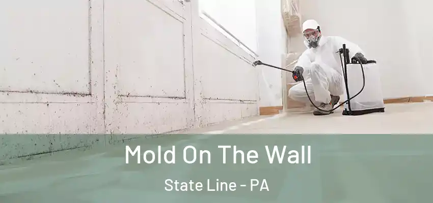 Mold On The Wall State Line - PA