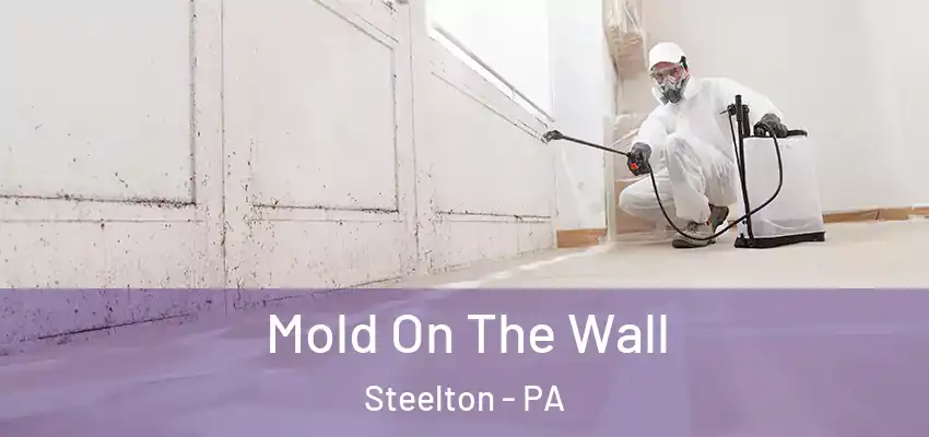  Mold On The Wall Steelton - PA