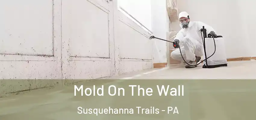 Mold On The Wall Susquehanna Trails - PA