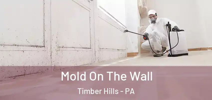 Mold On The Wall Timber Hills - PA