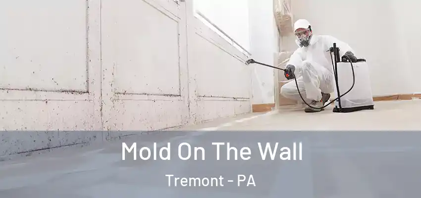  Mold On The Wall Tremont - PA