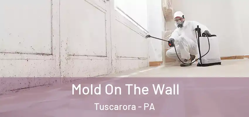  Mold On The Wall Tuscarora - PA