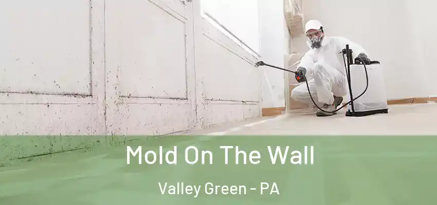 Mold On The Wall Valley Green - PA