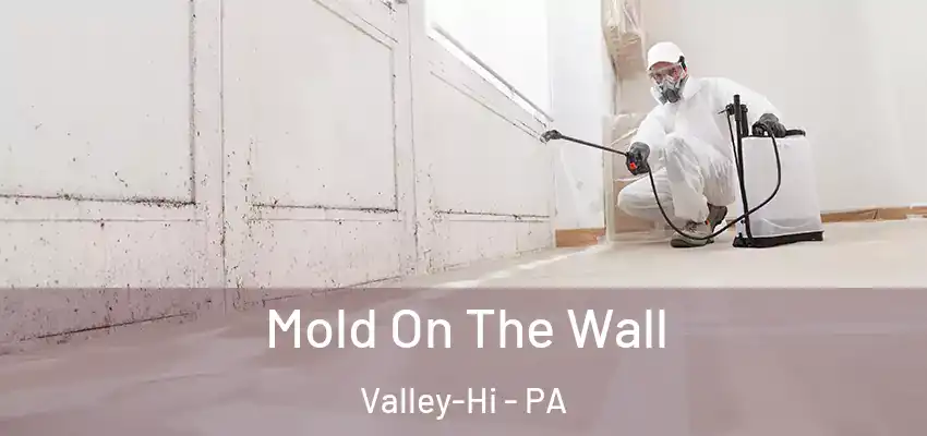  Mold On The Wall Valley-Hi - PA