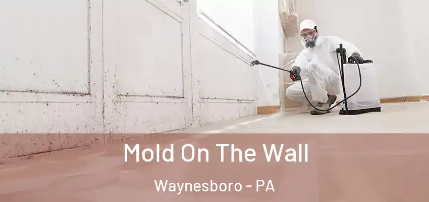 Mold On The Wall Waynesboro - PA