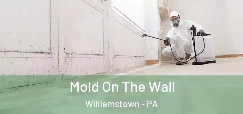 Mold On The Wall Williamstown - PA