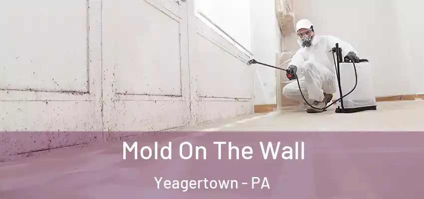 Mold On The Wall Yeagertown - PA