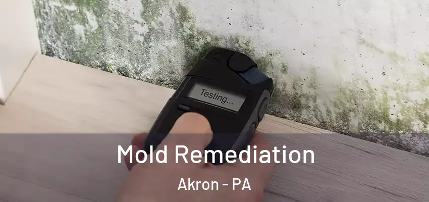 Mold Remediation Akron - PA