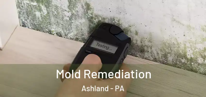  Mold Remediation Ashland - PA