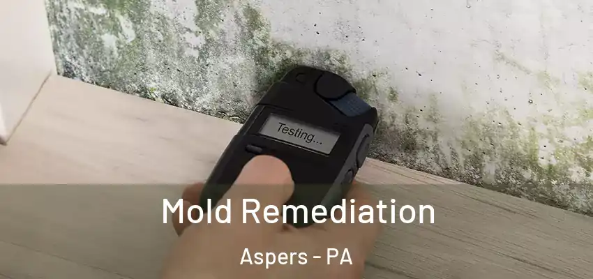  Mold Remediation Aspers - PA