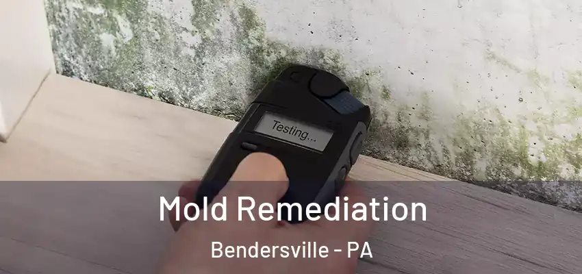  Mold Remediation Bendersville - PA