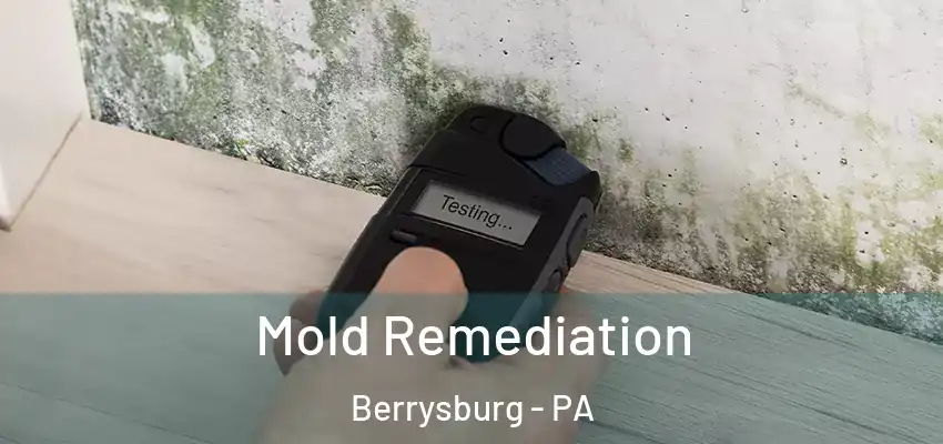  Mold Remediation Berrysburg - PA