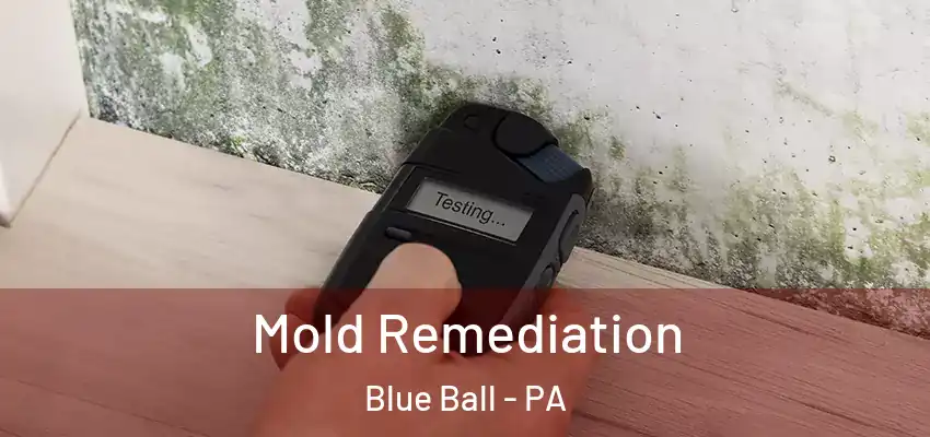  Mold Remediation Blue Ball - PA