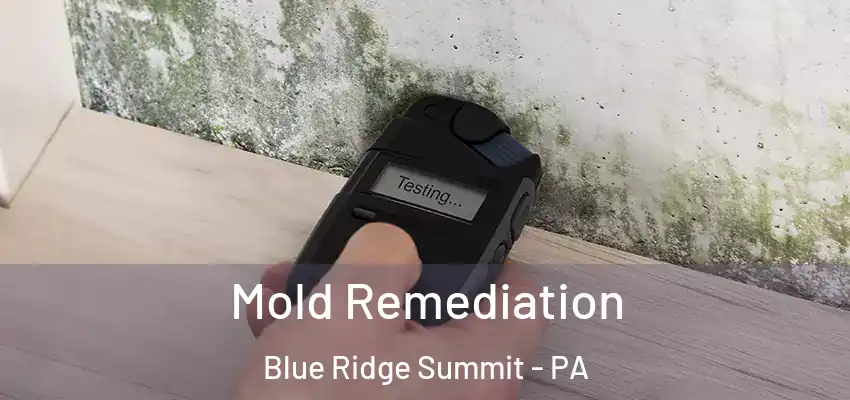  Mold Remediation Blue Ridge Summit - PA