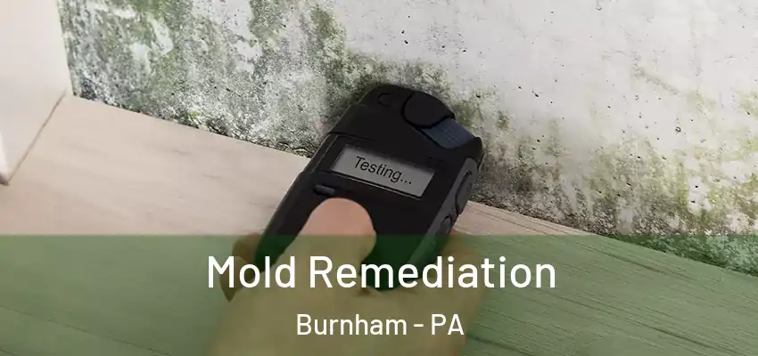 Mold Remediation Burnham - PA