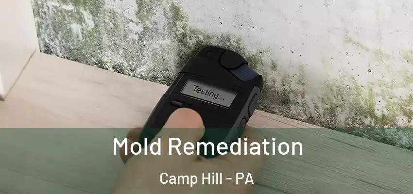 Mold Remediation Camp Hill - PA