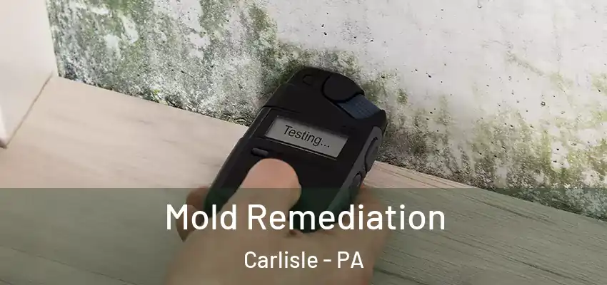  Mold Remediation Carlisle - PA