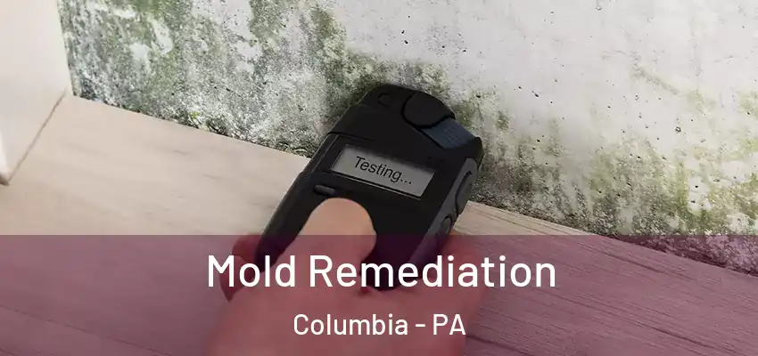  Mold Remediation Columbia - PA