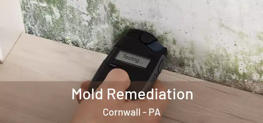 Mold Remediation Cornwall - PA
