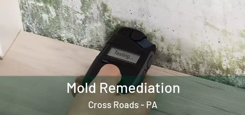 Mold Remediation Cross Roads - PA