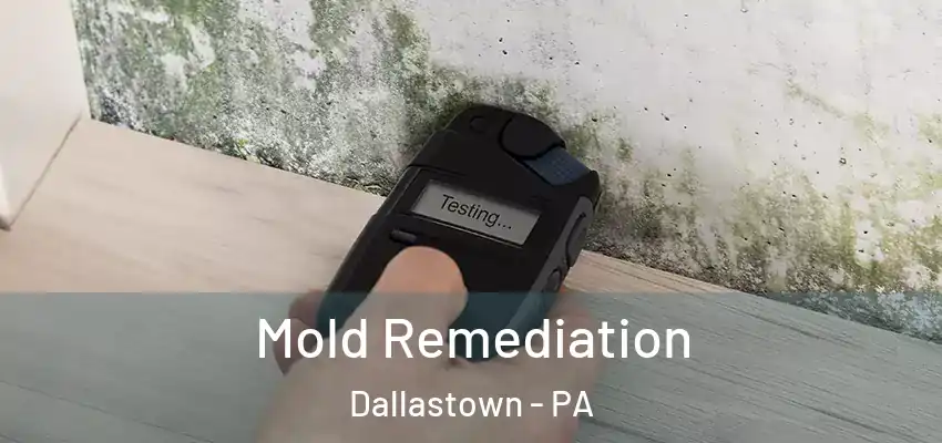  Mold Remediation Dallastown - PA