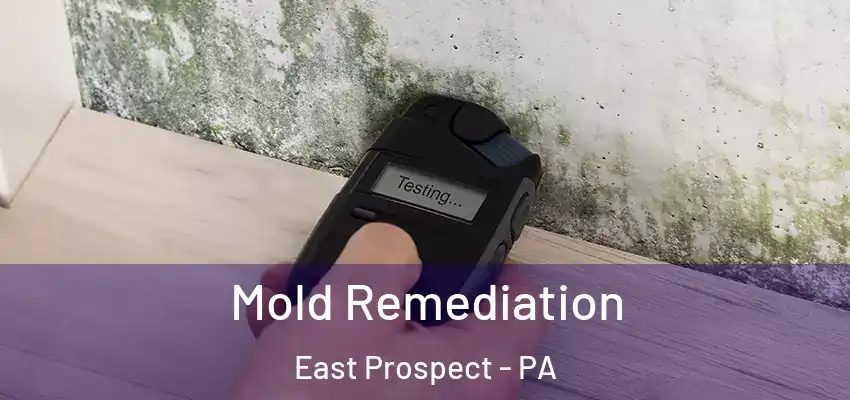 Mold Remediation East Prospect - PA