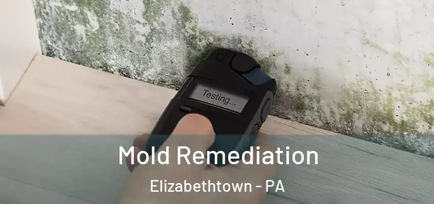 Mold Remediation Elizabethtown - PA