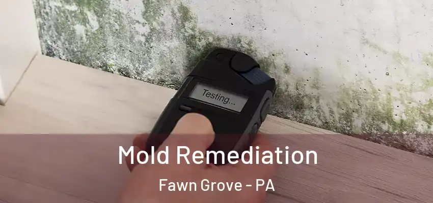  Mold Remediation Fawn Grove - PA