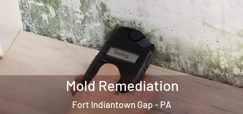 Mold Remediation Fort Indiantown Gap - PA