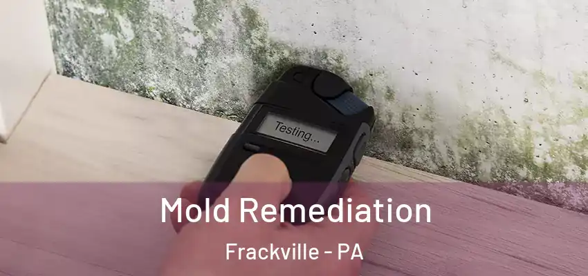  Mold Remediation Frackville - PA