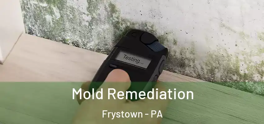 Mold Remediation Frystown - PA