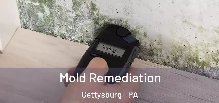 Mold Remediation Gettysburg - PA