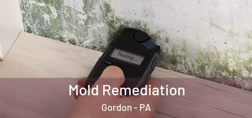 Mold Remediation Gordon - PA
