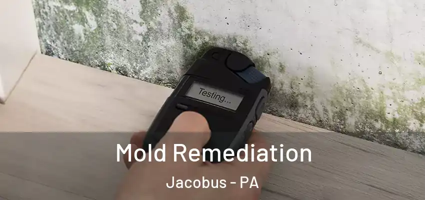  Mold Remediation Jacobus - PA
