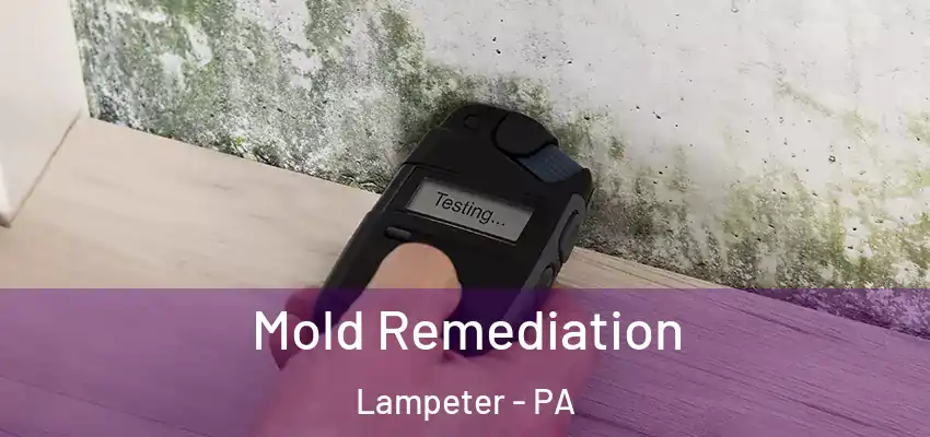  Mold Remediation Lampeter - PA