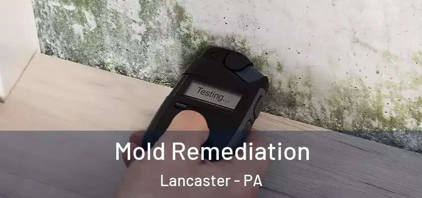  Mold Remediation Lancaster - PA