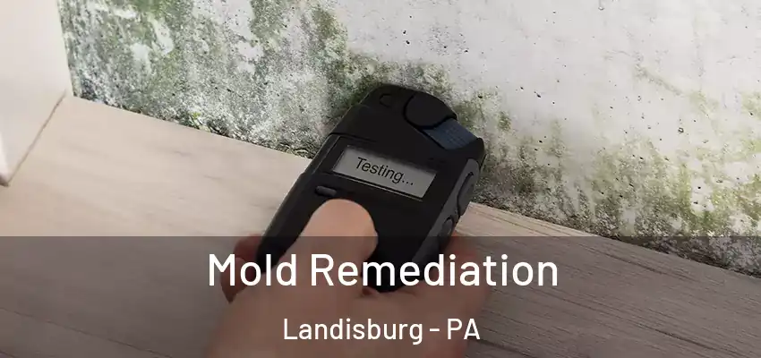 Mold Remediation Landisburg - PA