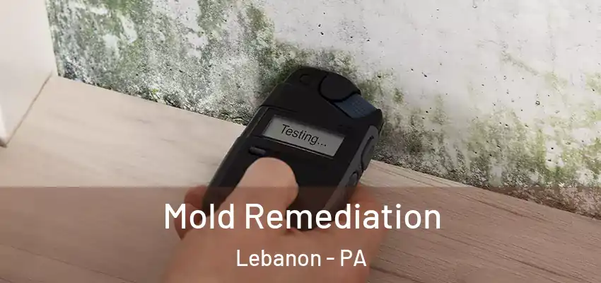 Mold Remediation Lebanon - PA