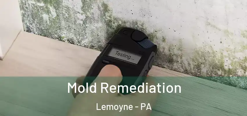Mold Remediation Lemoyne - PA