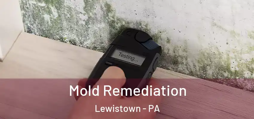  Mold Remediation Lewistown - PA