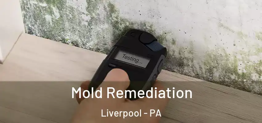 Mold Remediation Liverpool - PA