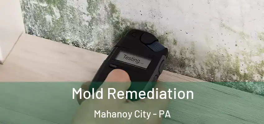 Mold Remediation Mahanoy City - PA
