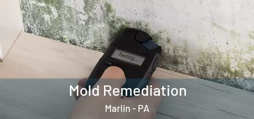 Mold Remediation Marlin - PA