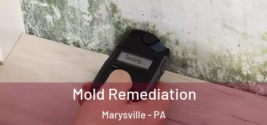 Mold Remediation Marysville - PA