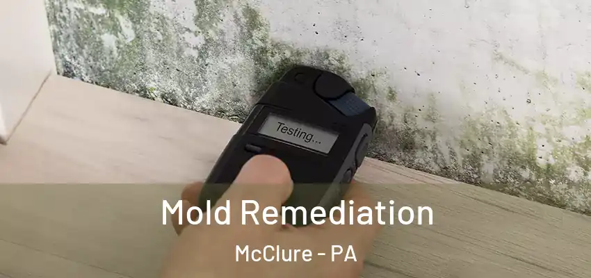 Mold Remediation McClure - PA