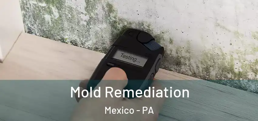 Mold Remediation Mexico - PA