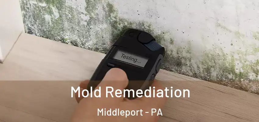  Mold Remediation Middleport - PA