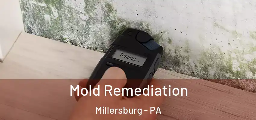  Mold Remediation Millersburg - PA
