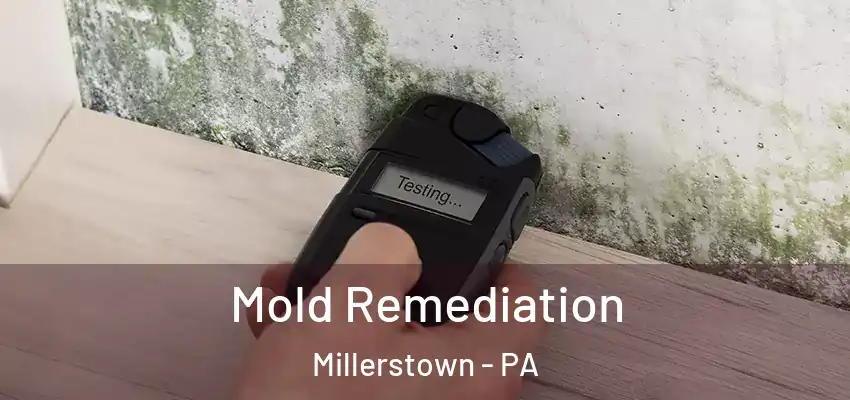  Mold Remediation Millerstown - PA